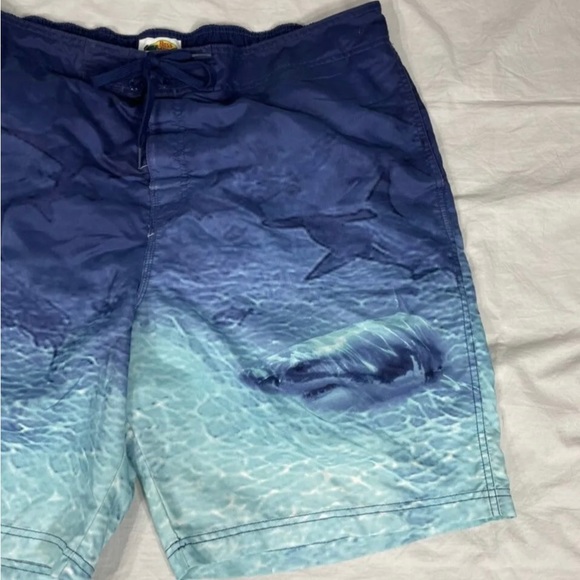 Bass Pro Shops Mens Blue Polyester Swin Shorts Size XXL - Picture 2 of 6